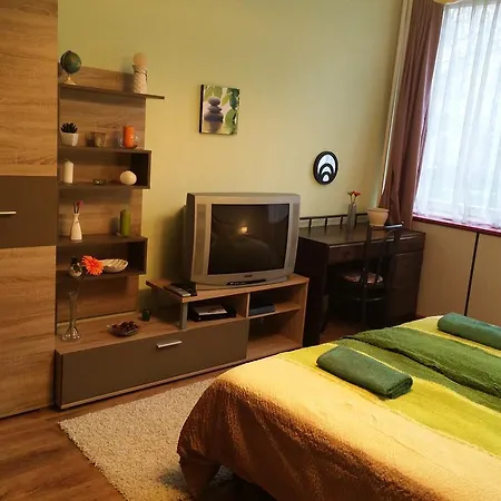Karpat-garam Apartman 아파트 *